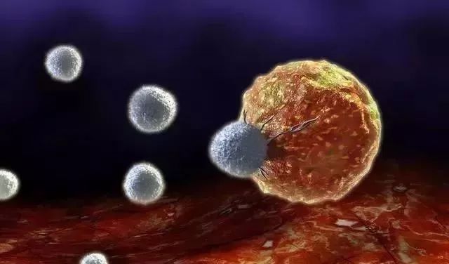 NK細胞：強大的抗癌前鋒！